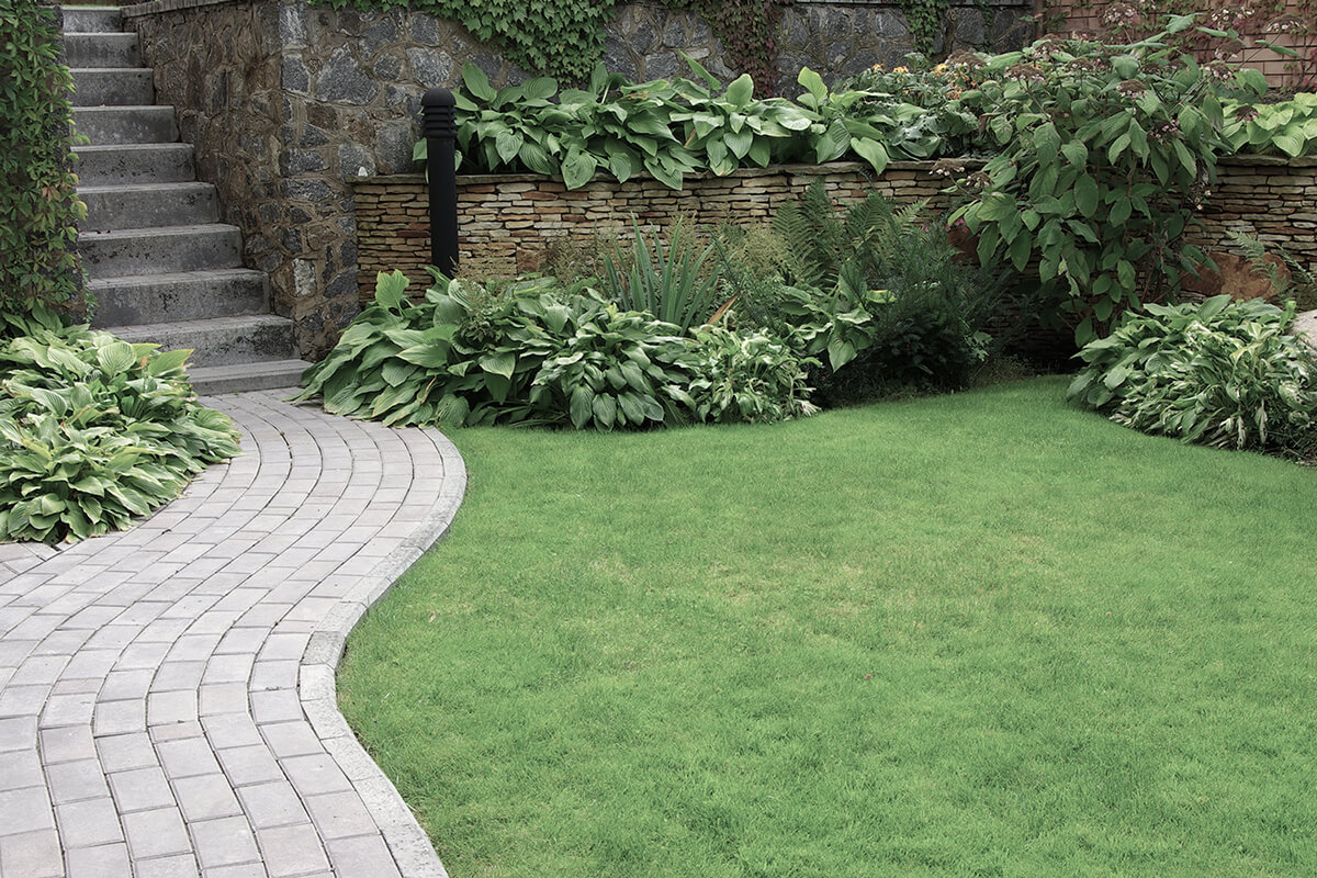 Welcome to 1st Choice Landscaping